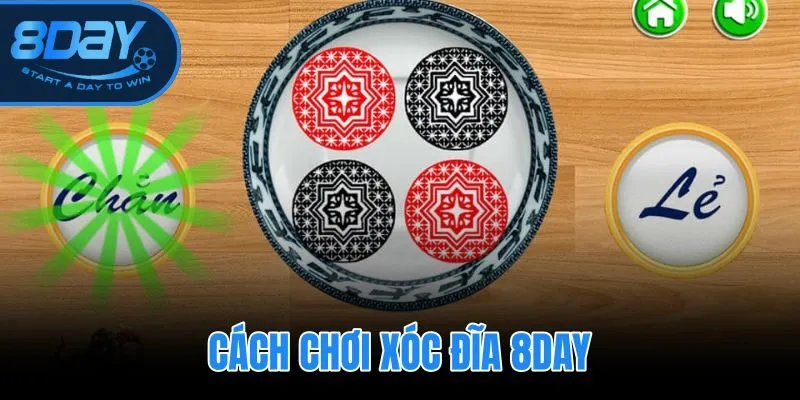 Cách Chơi Xóc Đĩa 8DAY