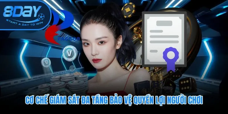 Giấy phép hoạt động 8DAY và cơ chế kiểm soát chéo ba cơ quan quốc tế
