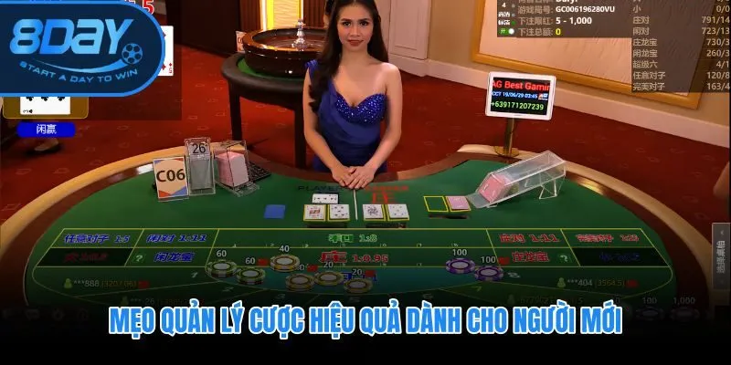 Cách chơi Baccarat 8DAY có kỷ luật với mức cược 1 đến 3% vốn phiên