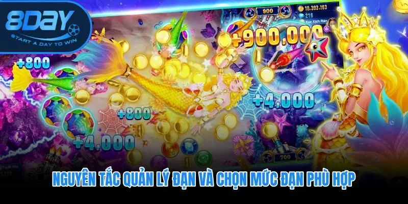 Chiến thuật bắn cá 8DAY với kỷ luật phân bổ đạn giữ vốn phiên an toàn